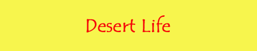 Desert Life
